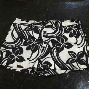 White House Black market shorts.